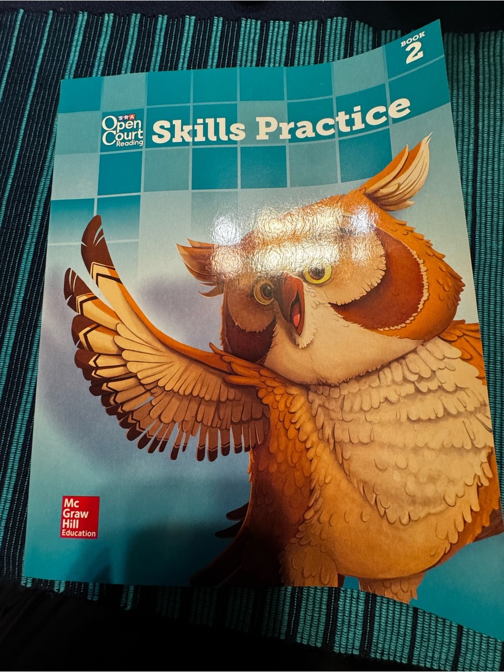 Open Court Reading Grade 5 Skills Practice Book  2 Remediation Homeschool Tutors